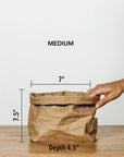 Paper Bag : Metallic - Platino