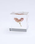 Sea Lavender Cube