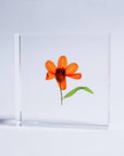 Sola Tile Zinnia - Botanical Decor Gift