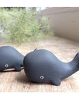 Whale