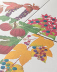 Message Letter Pad - 609 AUTUMN FRUITS