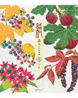 Letter Pad - 033 AUTUMN FRUITS