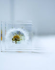 Sola Tile Dandelion - Botanical Decor Gift