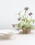 Ikebana Vases