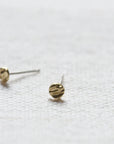 E40 Brass Studs Small
