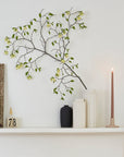 Cylinder Vases