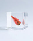 Quail Grass Cube