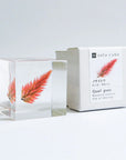 Quail Grass Cube