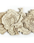 Washington Volcanoes Topography Coasters - Set of 4