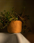 Felt Drop Bowl