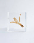 Ant Tree Cube