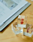 Sea Lavender Cube