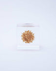 Basket Flower Cube