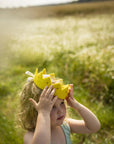 Felt Crown - Small