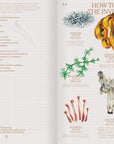 Let's Become Fungal!