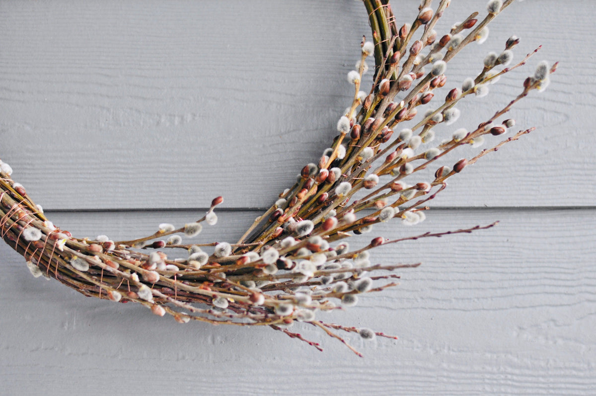 Pussy Willow Wreath with Clary Sage Studio