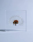 Sola Tile Dandelion - Botanical Decor Gift