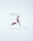 Sea Lavender Cube