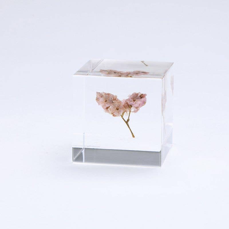 Sea Lavender Cube
