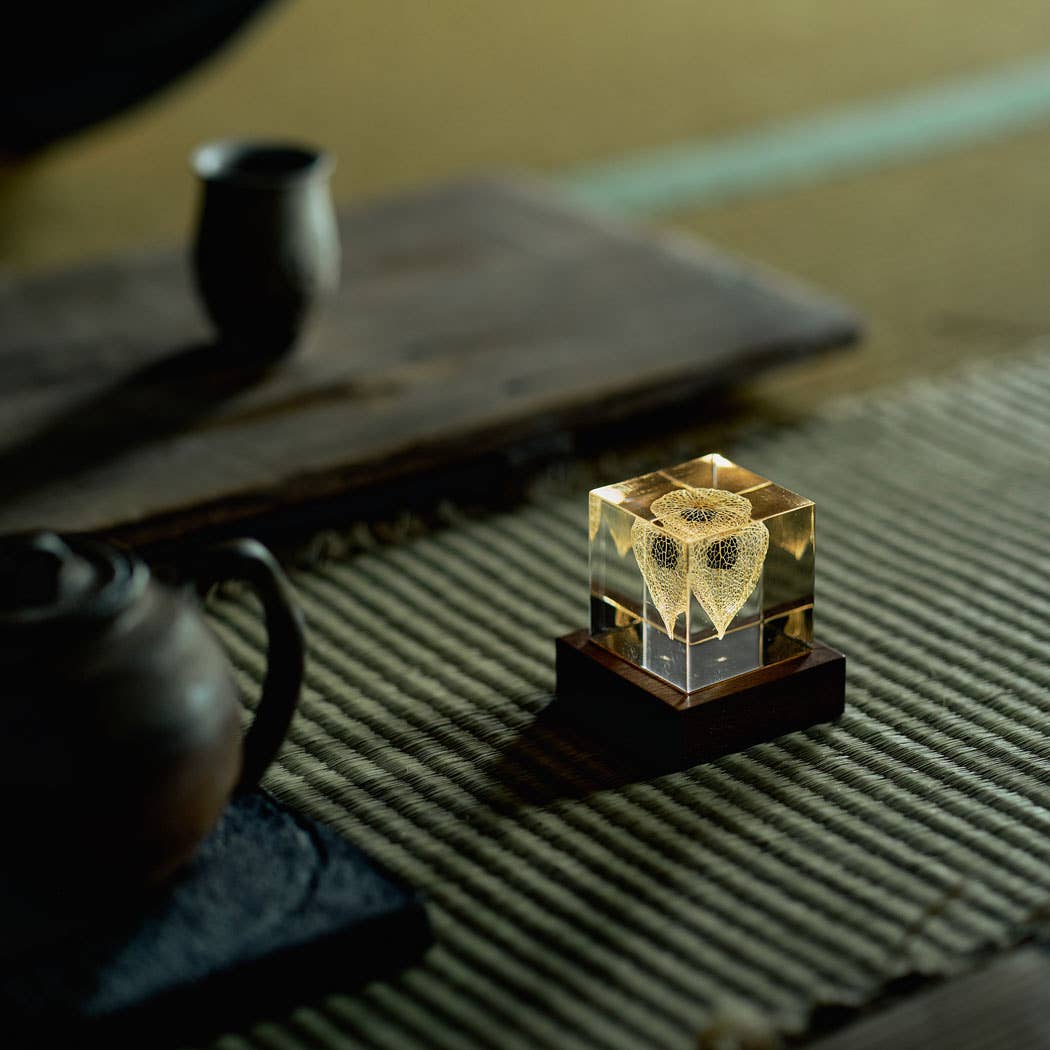 Sola Cube LED Light Base 5000K