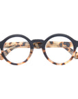 DAN | Black Tortoise  | Blue Light Readers
