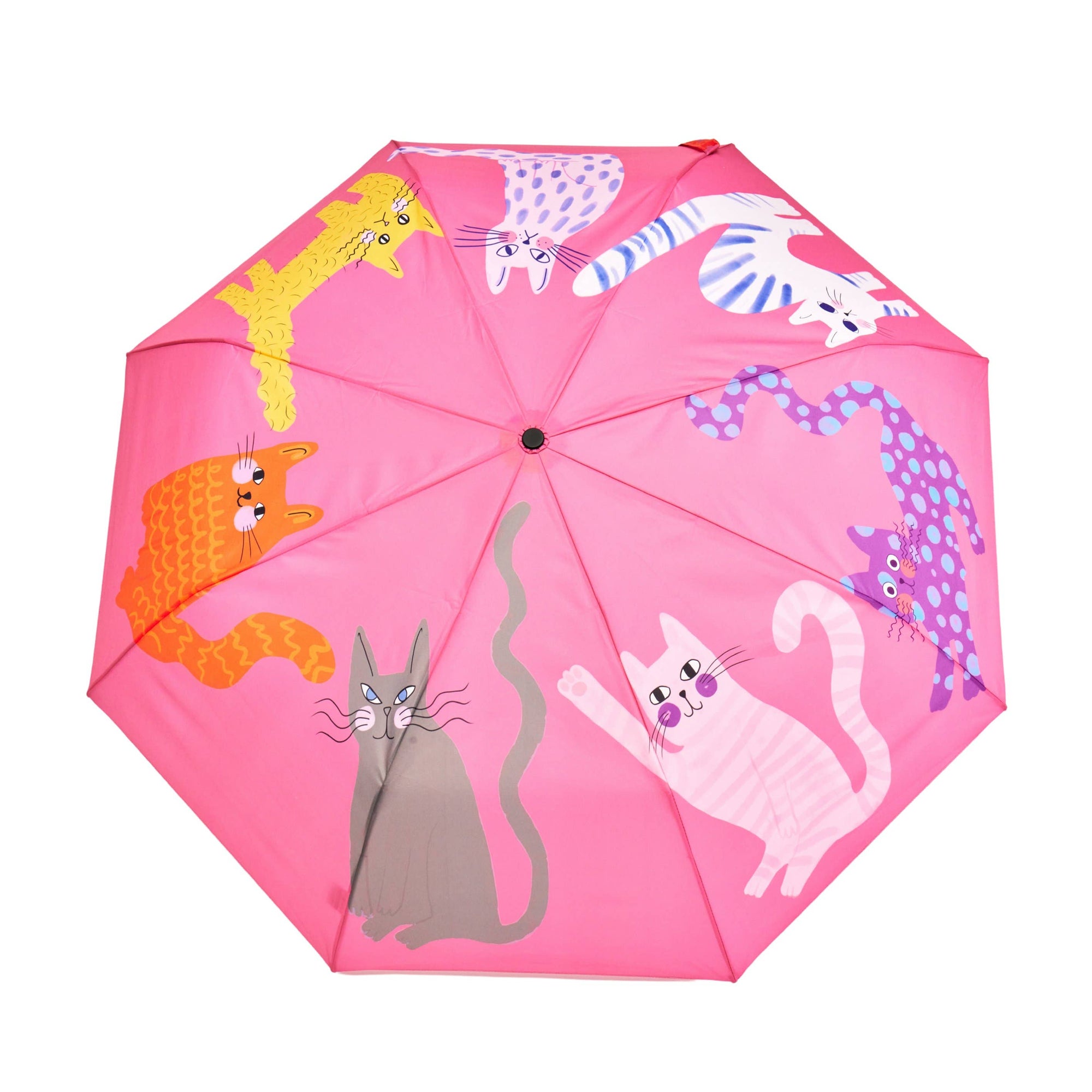 Duckhead Umbrella : Ice Arty Cats
