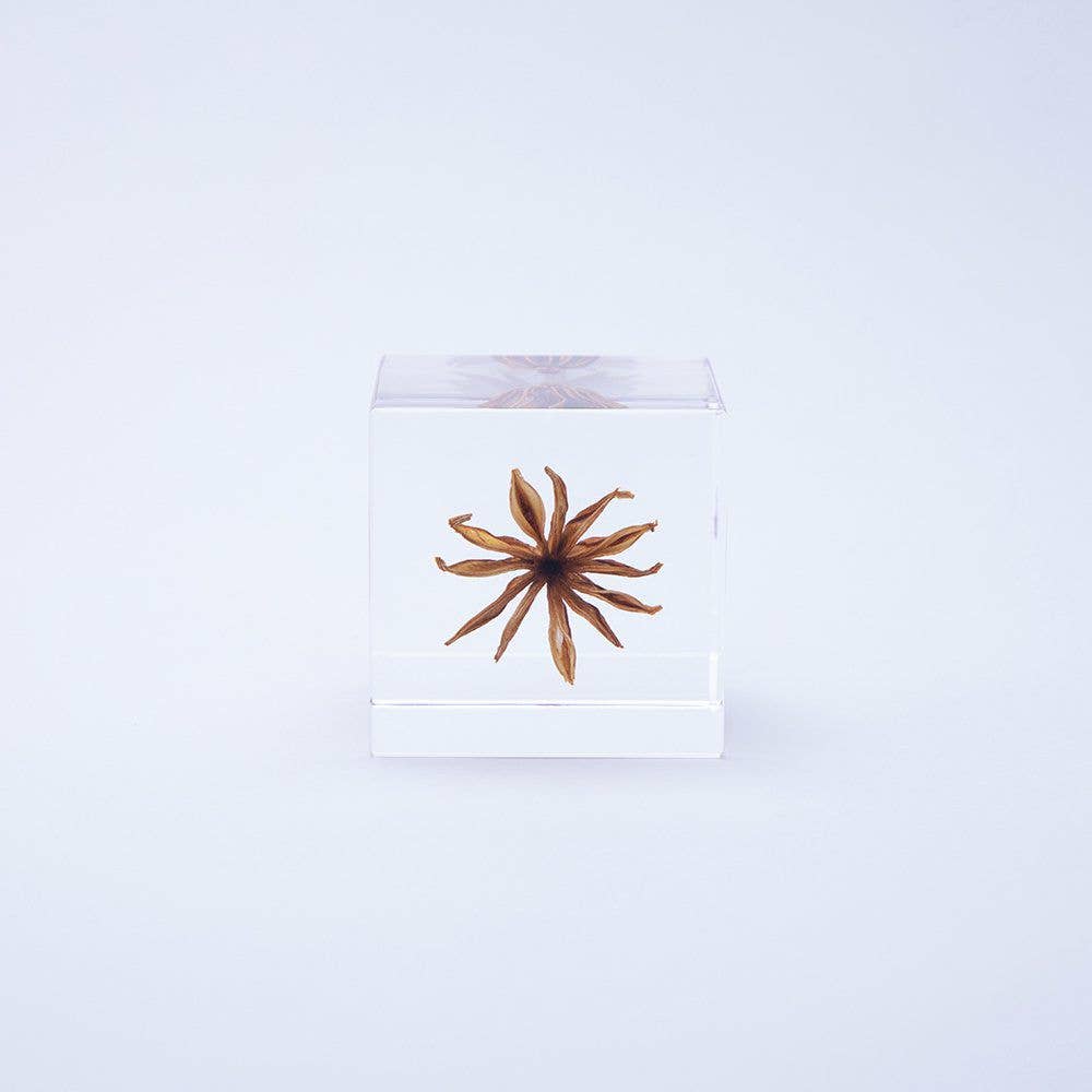 Yellow Fennel Flower Cube