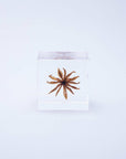 Yellow Fennel Flower Cube