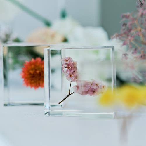 Sea Lavender Cube