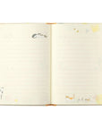 Midori Journal : CAT