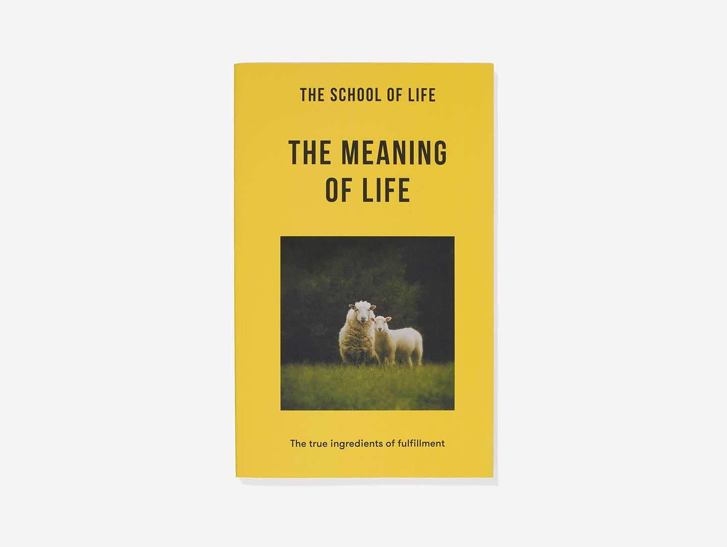 The Meaning of Life