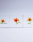 Sola Tile Zinnia - Botanical Decor Gift