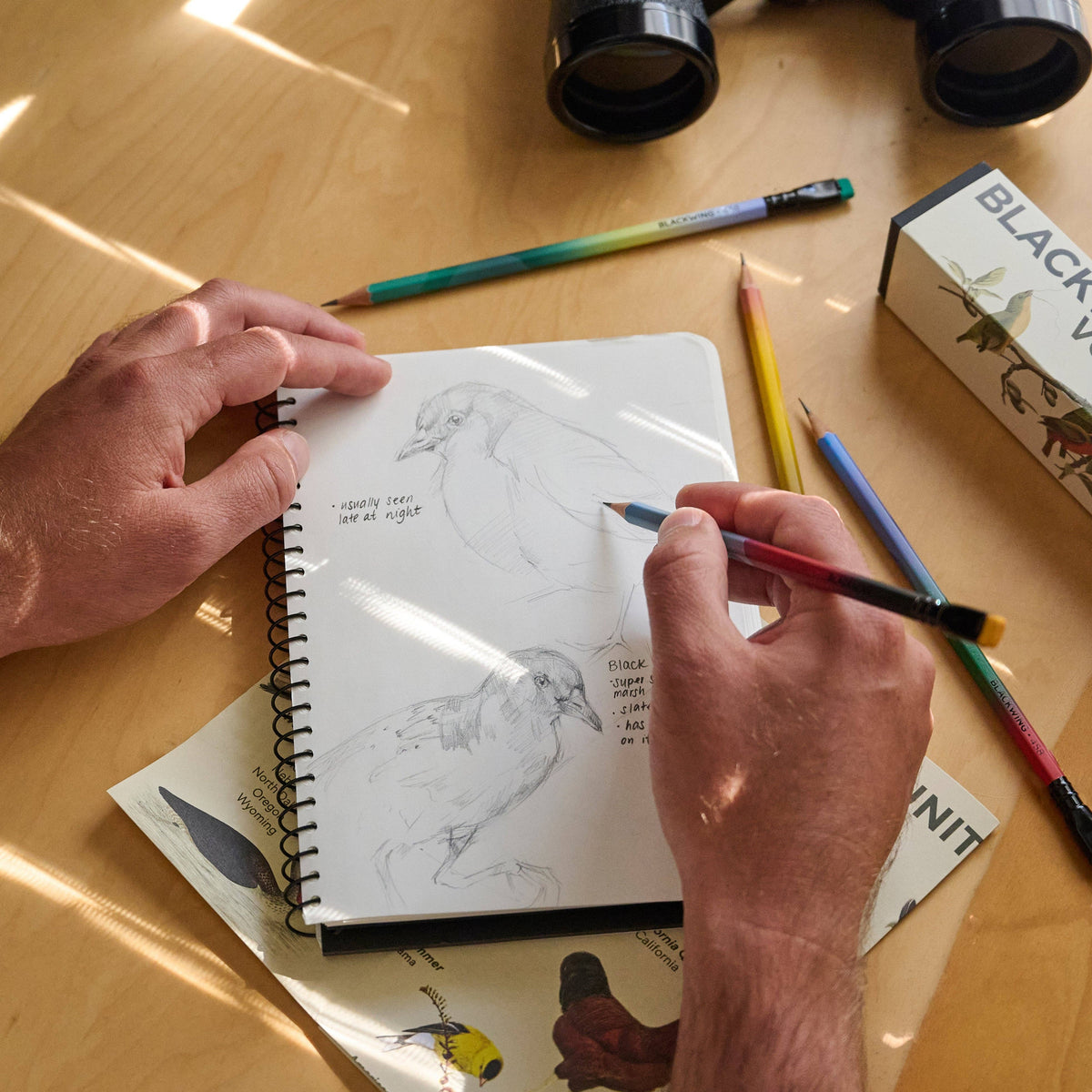 Blackwing Volume 458 BIRDING