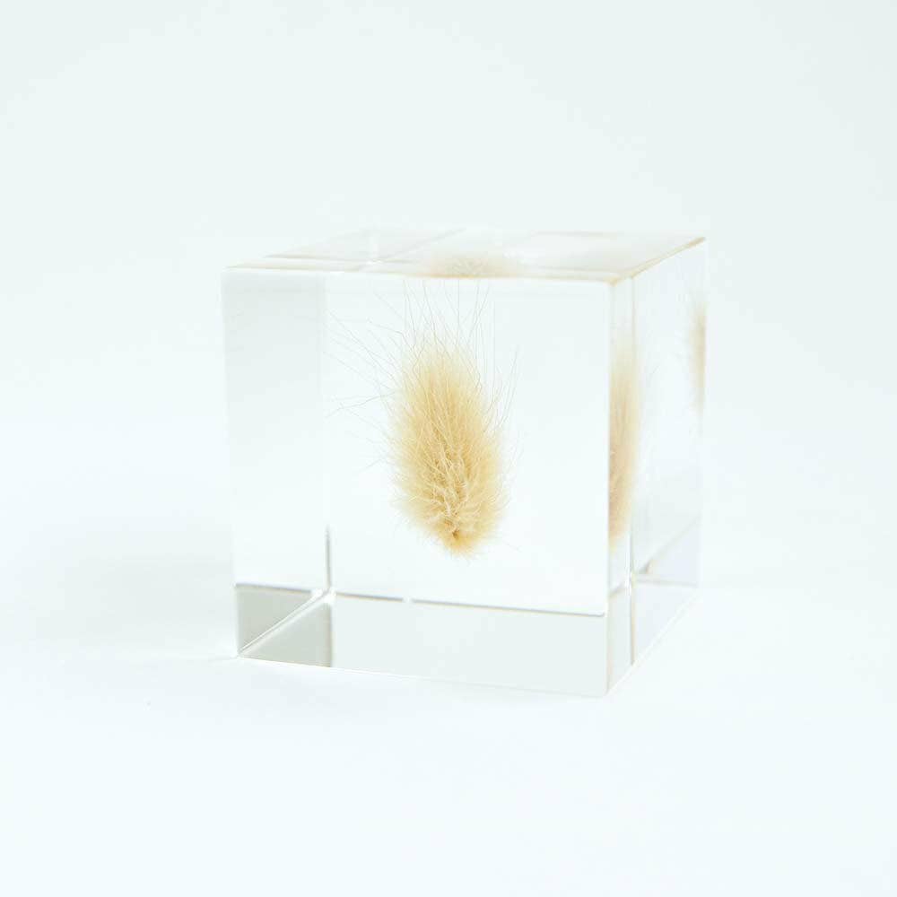 Bunny Tail Grass Cube