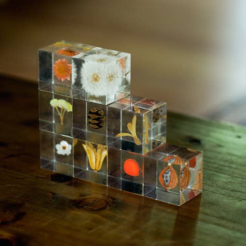 Immortelle Cube