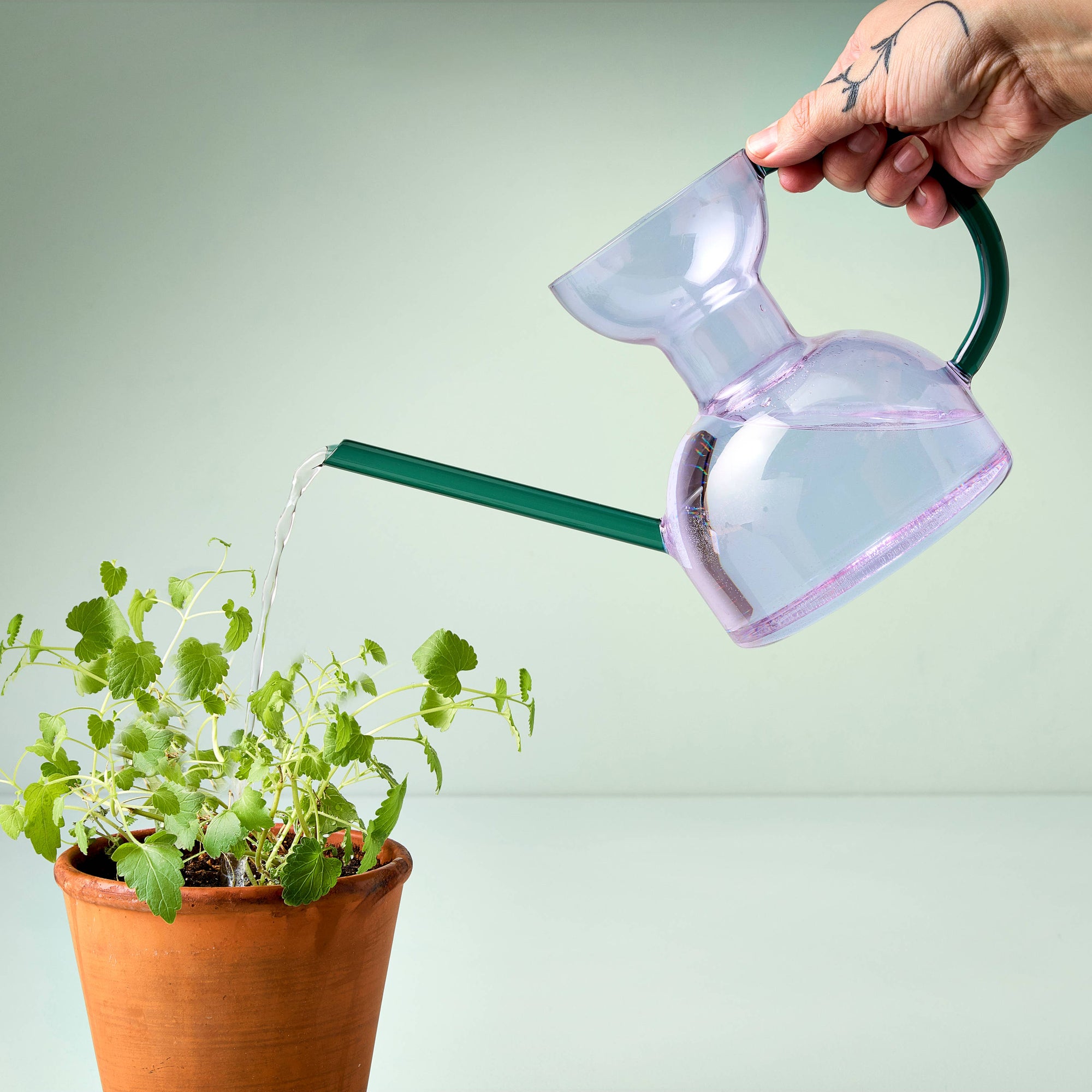 Glass Watering Can 32 fl.oz.