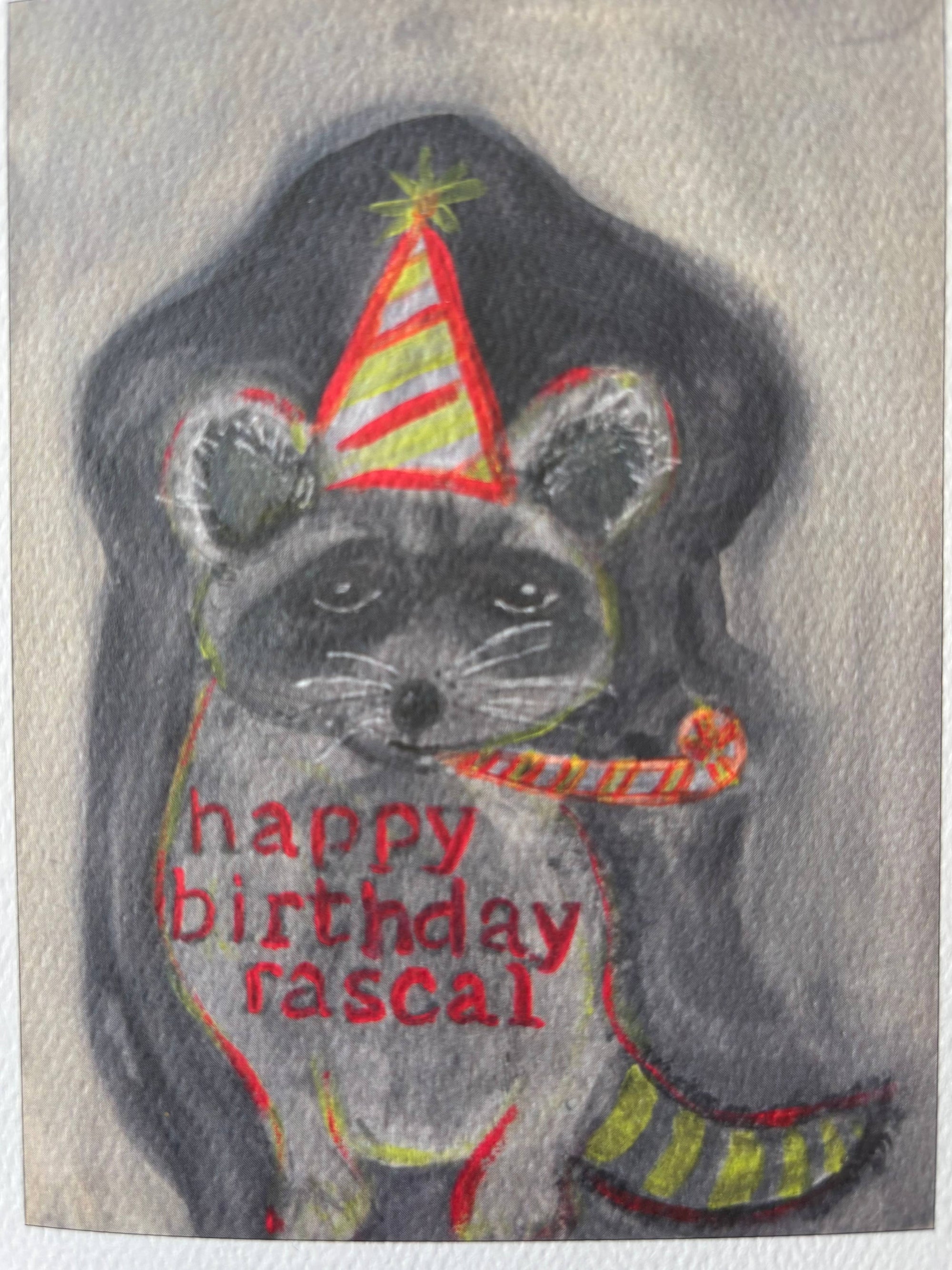 Rascally party Raccoon Happy Birthday greeting card 