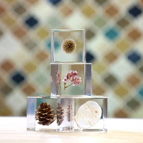 Sea Lavender Cube