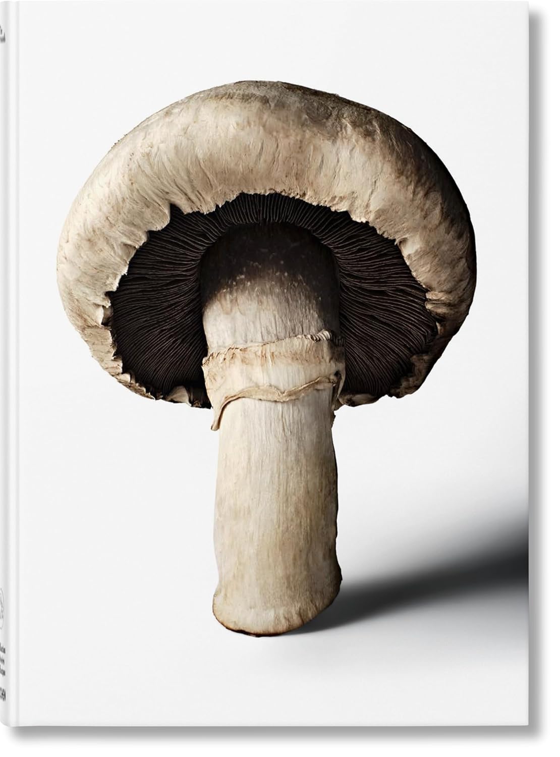 Gourmand's Mushroom. A Collection of Stories &amp; Recipes