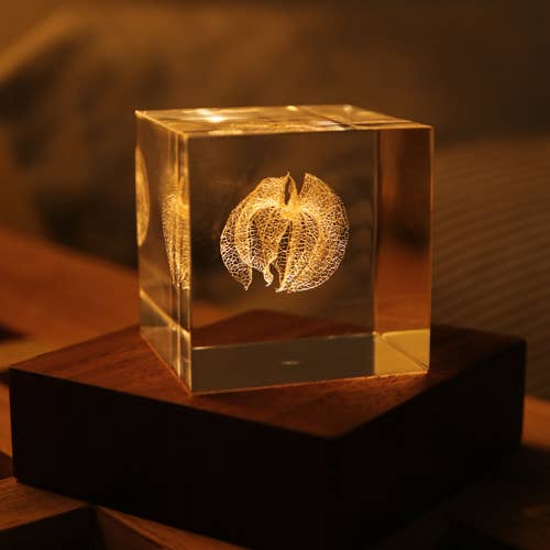 Sola Cube LED Light Base 5000K