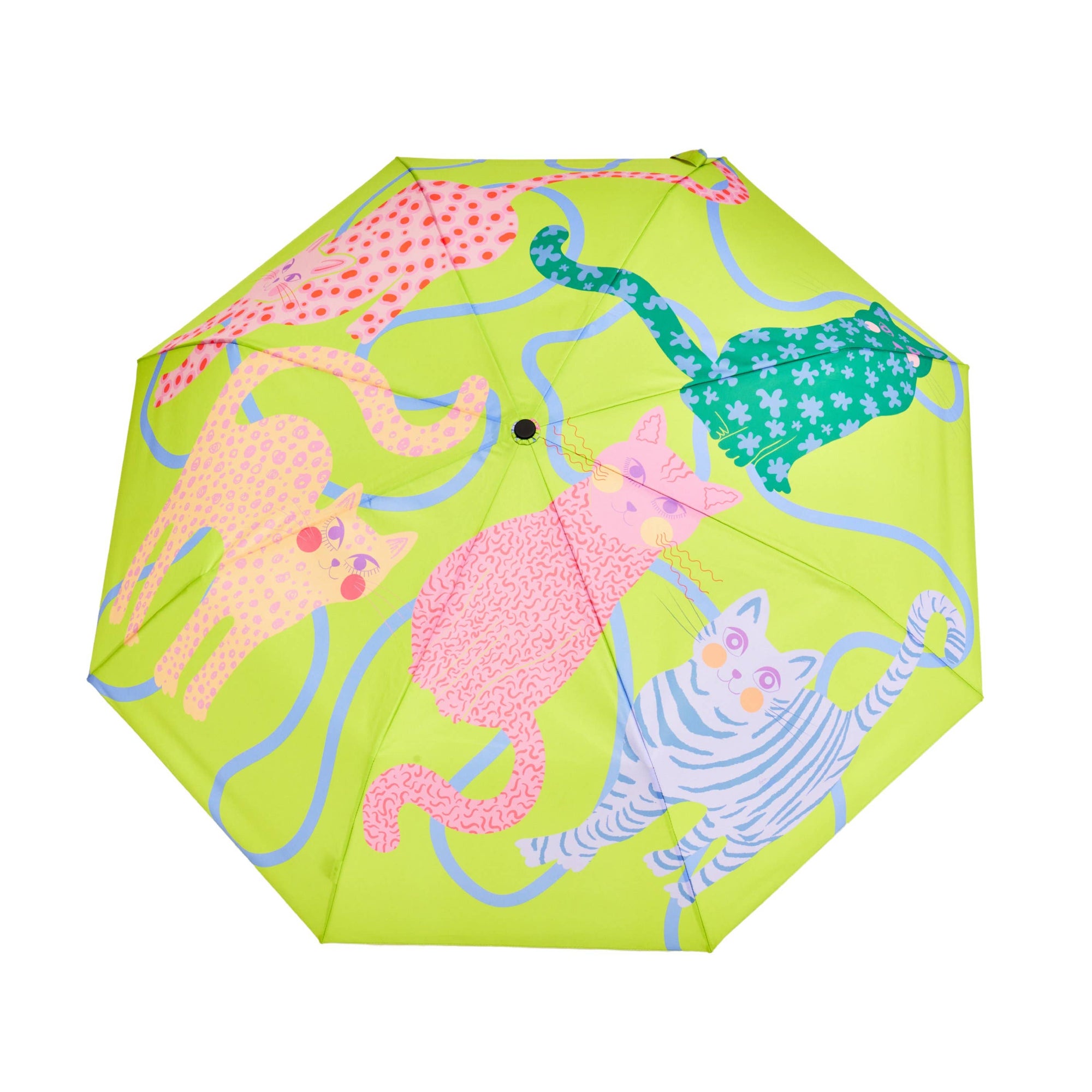 Duckhead Umbrella : Ice Arty Cats