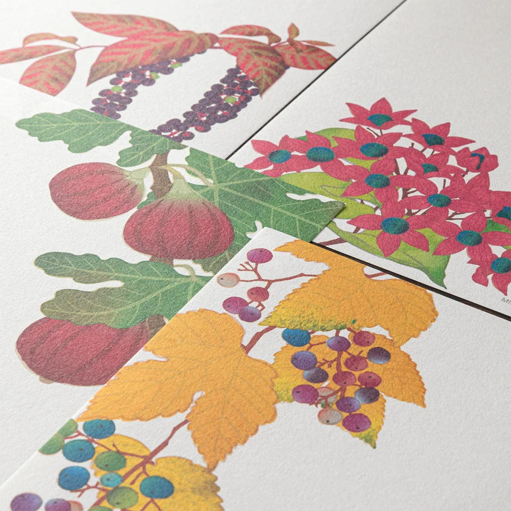 Message Letter Pad - 609 AUTUMN FRUITS
