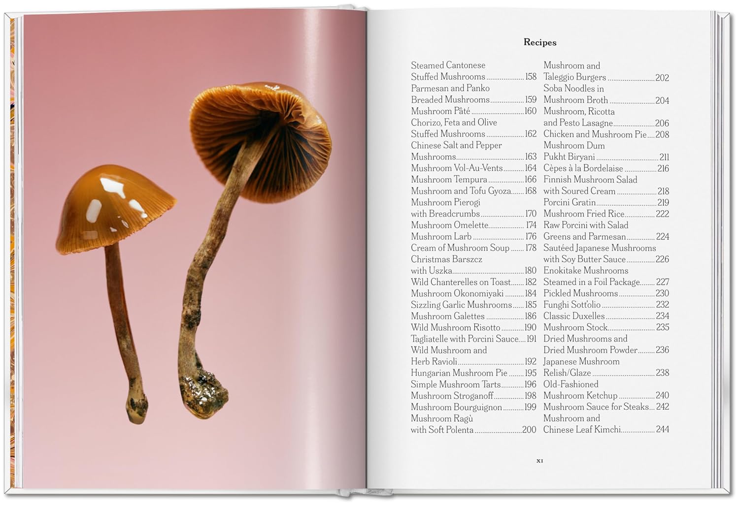 Gourmand's Mushroom. A Collection of Stories &amp; Recipes