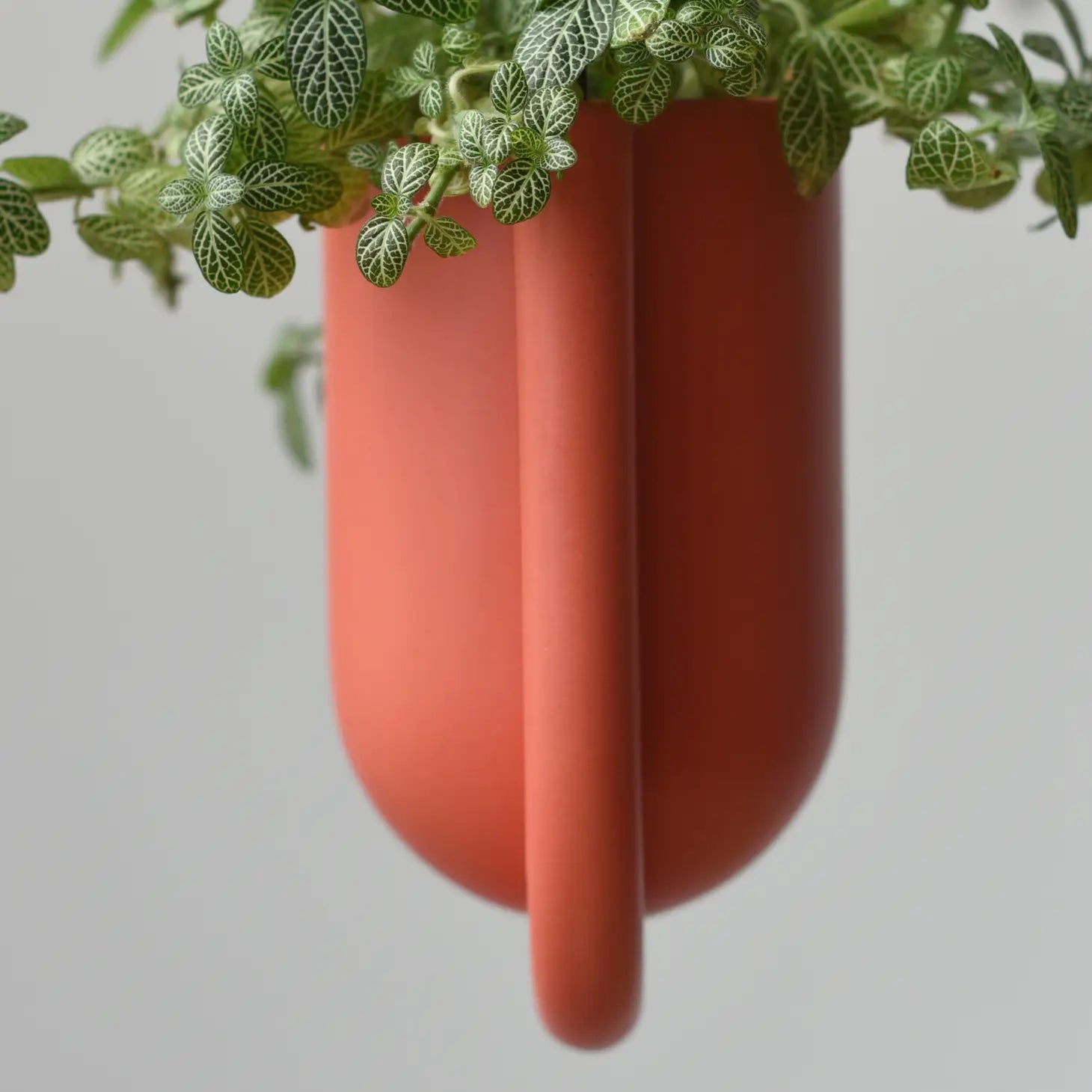 Portico Hanging Planter