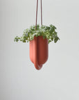 Portico Hanging Planter