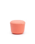 Store & Go Food Container 8 oz - Coral