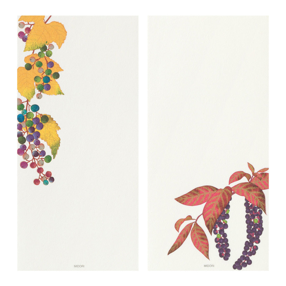 Message Letter Pad - 609 AUTUMN FRUITS