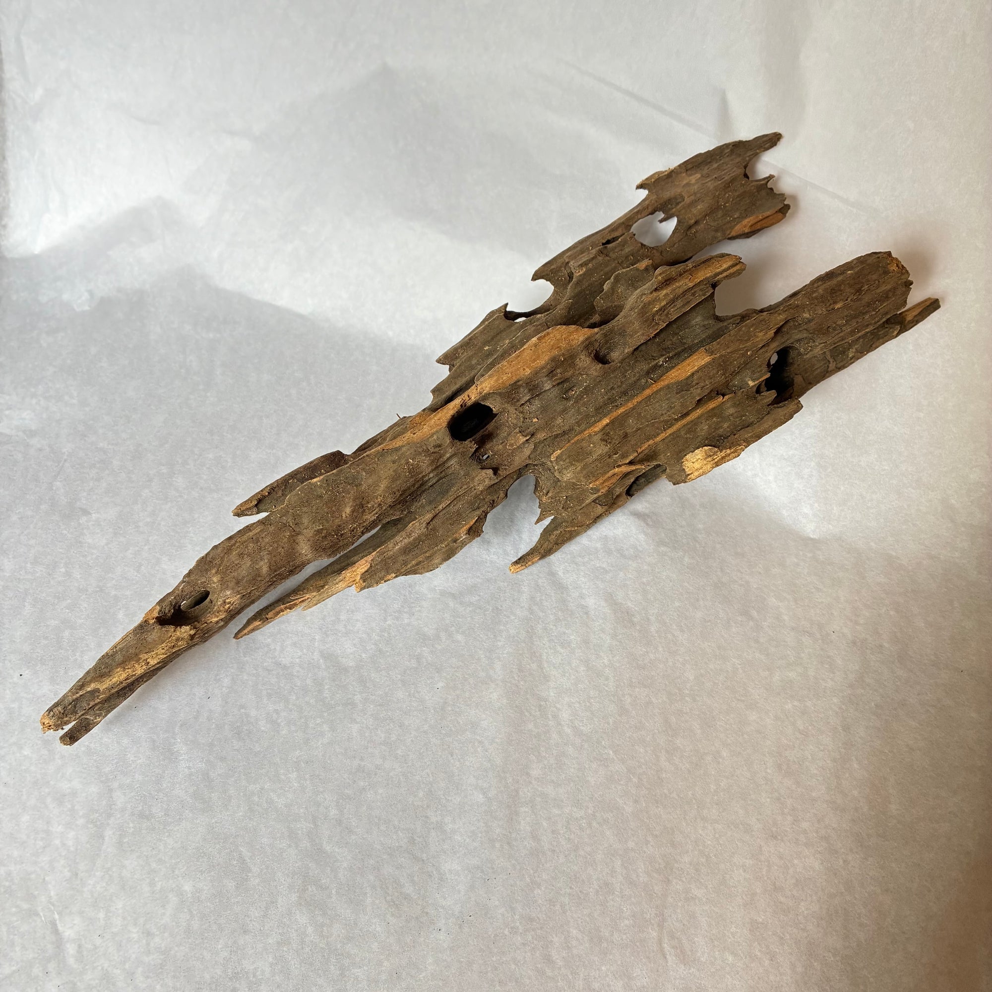 Dragon Bone Wood