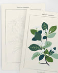 Tahitian Botanical | Modern Paint By Numbers Kit