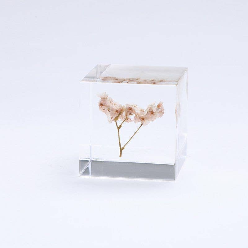 Sea Lavender Cube